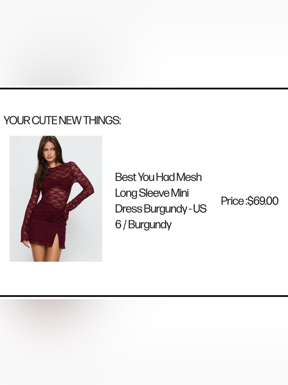 Princess Polly Best You Had Burgundy Lace Mesh Long Sleeve Mini Dress
